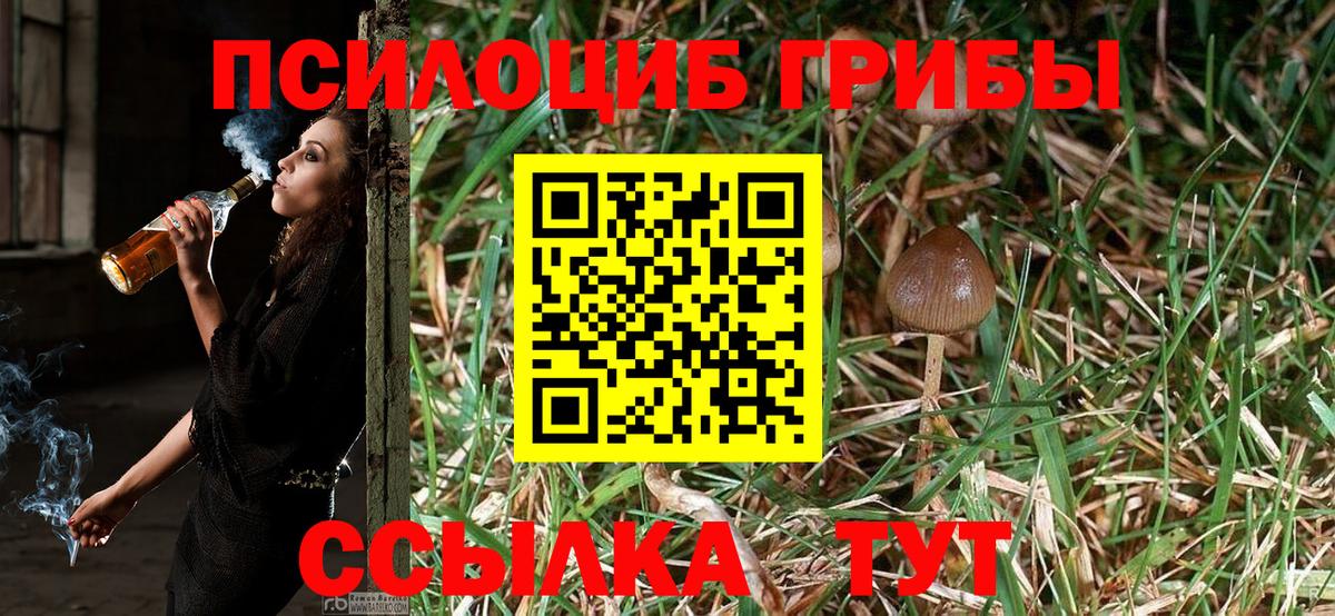 Псилоцибиновые грибы Psilocybine cubensis Кузнецк